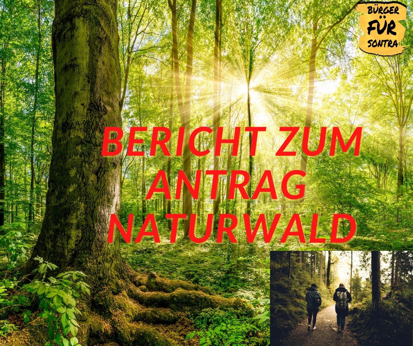 Antrag Naturwald