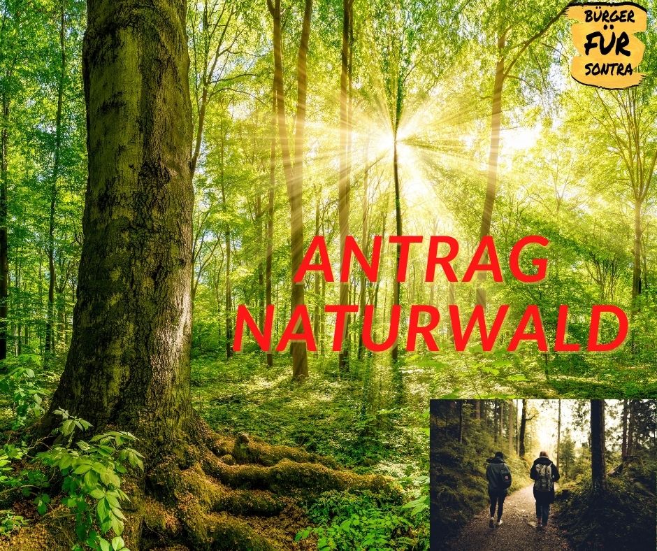 Antrag Naturwald 1